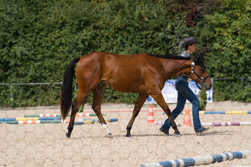 s_batch_A9_00077.jpg